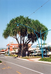 2000 - Australie 291G